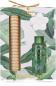 Preview: Accentra badeset botanic spa 6057703 duft: eucalyptus&lemongrass - Accentra-6057703-4015953693229