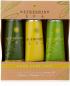 Preview: Accentra handpflegeset refreshing spa 6057740 duft: lemon & jasmine - Accentra-6057740-4015953693618