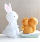 Preview: Allc nachtlicht mini llsqor60 squirrel 13x12.5x8cm - Allc-llsqor60-8719715000602-05.jpg