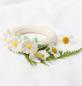 Preview: Allc beissring 9x11x4cm trdcwh09 daisy - Allc-trdcwh09-8719033869325-04.jpg
