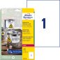 Preview: Avery zweckform laser-etiketten 210x297mm l4775-20 weiss,wetterfest 20 st./20 bl. - Avery-zweckform-l4775-20-4004182047750