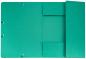 Preview: Biella gummibandmappe a4 17840030u grün, 590gm2 220 bl. - Biella-17840030u-7611365252534-04.jpg