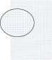 Preview: Biella einlageblätter a5 45052400u weiss,kar. 4mm,2-loch 100bl. - Biella-45052400u-7611365230266