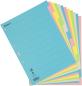Preview: Biella kartonregister a4 46141200u bunt 12-teilig - Biella-46141200u-7611365257065-05.jpg