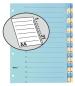 Preview: Biella kartonregister 210g a4 46244300u blau/gelb 1-31 - Biella-46244300u-7611365231539-02.jpg