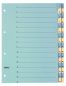 Preview: Biella kartonregister 210g a4 46244300u blau/gelb 1-31 - Biella-46244300u-7611365231539