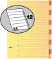 Preview: Biella kartonregister a4 46444100u braun/beige 12-teilig - Biella-46444100u-7611365231713