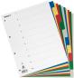 Preview: Biella register pp a4+ 47901000u farbig 10-teilig - Biella-47901000u-7611365288847-02.jpg