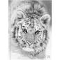 Preview: Biella schüleragenda blackwhite 25/26 806544860026u 1t/1s 12x16.5cm - Biella-806544860026u-7611365522828