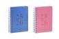 Preview: Brepols schüleragenda wire-o 25/26 2.140.4650 1t/1s 12m ass. ml 11.5x16.9cm - Brepols-21404650-5412303125130