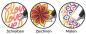 Preview: Chameleon fineliner set 0.3mm fl0601 6 farben primary - Chameleon-fl0601-0812751023067-04.jpg