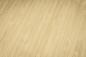 Preview: Conceptum notizbuch bamboo a5 co670 punktkariert, 194 s., bunt - Conceptum-co670-4004360798047-07.jpg