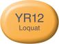 Preview: Copic marker sketch 21075270 yr12 - loquat - Copic-21075270-4511338049013-02.jpg