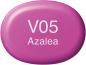 Preview: Copic marker sketch 21075296 v05 - azalea - Copic-21075296-4511338008980-02.jpg