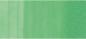 Preview: Copic marker sketch 21075321 g03 - meadow green - Copic-21075321-4511338049020-03.jpg