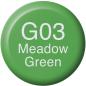 Preview: Copic ink refill 21076321 g03 - meadow green - Copic-21076321-4511338057155