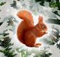 Preview: Coppenrath wandkalender 72619 weihnachtslaterne - Coppenrath-72619-4050003726199-03.jpg