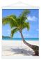 Preview: Debex posterleisten 51x2cm lwmg 51 weiss, magnetisch - Debex-lwmg-51-7611195375281