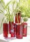 Preview: Edding paintmarker 751 crea 1-2mm 751-2 crea rot - Edding-751-2-crea-4004764953394-04.jpg
