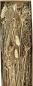 Preview: Eglo trockenblume 60cm 428038 beige - Eglo-428038-9008606258635-02.jpg