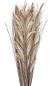 Preview: Eglo trockenblume 100cm 428057 beige - Eglo-428057-9008606258802-02.jpg