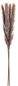 Preview: Eglo trockenblume 60cm 428058 braun - Eglo-428058-9008606258819