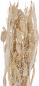 Preview: Eglo trockenblumen caraquet 45cm 428071 beige - Eglo-428071-9008606266791-02.jpg