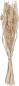 Preview: Eglo trockenblumen caraquet 45cm 428071 beige - Eglo-428071-9008606266791