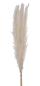 Preview: Eglo trockenblumen caraquet 70cm 428074 weiss - Eglo-428074-9008606266821-02.jpg