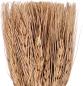 Preview: Eglo trockenblumen caraq 18cm 428078 braun, mit vase - Eglo-428078-9008606266869-02.jpg