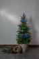 Preview: Eglo led-rgb-lichterkette 80 48909 batterieberieb - Eglo-48909-9002759489090-02.jpg