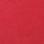 Preview: Gbc leathergrain umschlag a4 cn040030 rot 25 stück - Gbc-cn040030-5019577210878-03.jpg