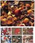 Preview: Haschemi doppelkarten-box 104 104 muscheln - Haschemi-104-9783936222036