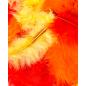 Preview: I am creative dekofedern 3g 4060.41 mix 1, 5-8cm - I-am-creative-4060.41-7611983212200-02.jpg
