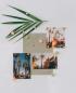 Preview: I am creative magnet blume let`s organize maa4035.59 pastell 6 stück - I-am-creative-maa4035.59-7611983215560-04.jpg
