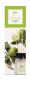 Preview: Ipuro raumduft essentials 050.5063.20 lime light 200ml - Ipuro-050.5063.20-4051281967731-03.jpg