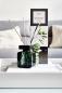 Preview: Ipuro raumduft essentials 050.5068.20 black bamboo 200ml - Ipuro-050.5068.20-4051281967823-03.jpg