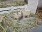 Preview: Jabadabado bauernhaus c2526 ohne tiere - Jabadabado-c2526-7332599025267-05.jpg