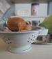 Preview: Jabadabado küchen-set g12022 bon appetit - Jabadabado-g12022-7332599120221-04.jpg