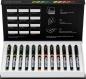 Preview: Karin real brush pen 0.4mm 33c3 pigment, natur farben - Karin-33c3-5904446031589
