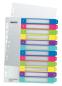 Preview: Leitz register pp wow a4+ 12440000 multicolor 1-12 - Leitz-12440000-4002432100323-03.jpg
