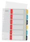 Preview: Leitz register pp cosy a4 1246-00-00 multicolor 1-6 - Leitz-1246-00-00-4002432125104