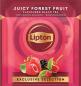 Preview: Lipton waldfrüchte tee 4071217 25 pyramiden - Lipton-4071217-8720608020584-02.jpg