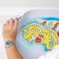 Preview: Magnetoplan takkis 15501 15x15mm 140 stk. - Magnetoplan-15501-4013695022536-07.jpg