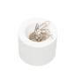 Preview: Maul klammernspender eco maulpro 3012302.eco 7.3cm, weiss, 15 klammern - Maul-3012302.eco-4002390087575-04.jpg