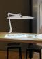 Preview: Maul led-leuchte maulwork 8205202 dimmbar - Maul-8205202-4002390061544-04.jpg