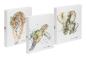 Preview: Pagna ringbuch sortiert save me a4 20777-25 save me no.3 2 ringe - Pagna-20777-25-4009212051936