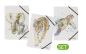 Preview: Pagna gummizugmappe set 3 save me a4 21627-25 save me no.3 sortiert - Pagna-21627-25-4009212061850