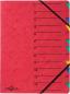 Preview: Pagna fächermappe easy a4 24131-01 rot 12 fächer - Pagna-24131-01-4013951004726