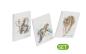 Preview: Pagna notizbuch set 3 stk. save me 26094-25 save me no.3 128s, dotted line - Pagna-26094-25-4009212061935